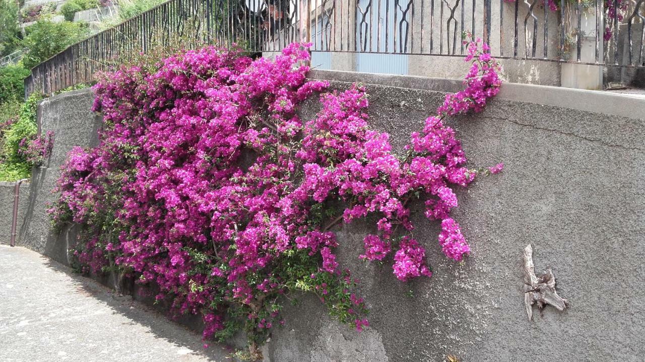 Un Gioiello Con Vista Mare Villa Moneglia Kültér fotó